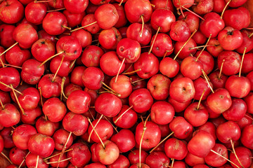 Red small apples from cuttings. Food background Paradise apples. Bright red natural texture. For design. The view from the top.