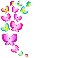 color butterflies,isolated on a white