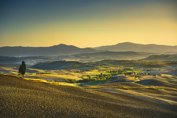 Fototapeta premium Tuscany Maremma sunset. Trees, farmlands, hills and fields. Ital