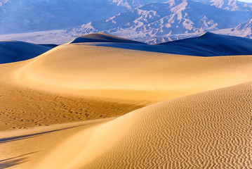 Fototapeta na wymiar Sand Dune Ridges