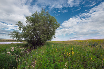 Summer landscape in Khakasia.