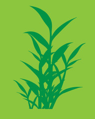 Green Wild Grasses Silhouettes