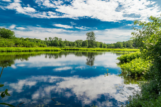 Ringwood Manor State Park NJ