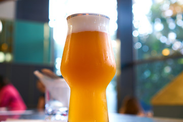 cold glass of beer in pub