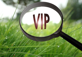 vip (very important person)