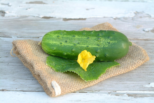 cucumber and flower