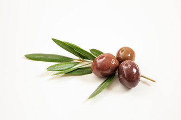 Olives and olive branch on white background