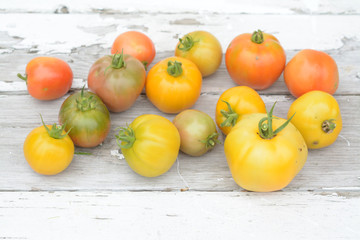 Fototapeta na wymiar organic tomato