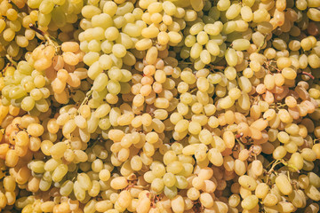 White grapes full background