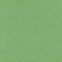 Canvas green texture background