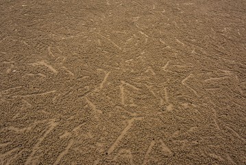 Background  traces of small crabs on The  Chao Lao Beach,  Chanthaburi, Thailand          
