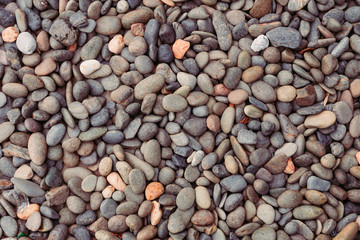Colorful round rocks floor background with a black and white round rock.