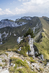 Massif de la Chartreuse - Lances de Malissard.