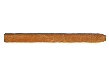 Brown cigar on a white background