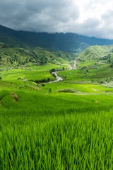 Sapa vietnam