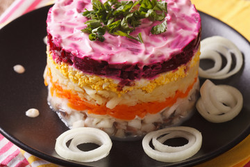 Tasty layered herring salad with vegetables and mayonnaise closeup. horizontal
