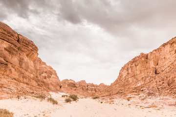 Sinai desert landscape