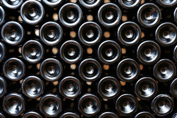 Many wine bottles in cellar