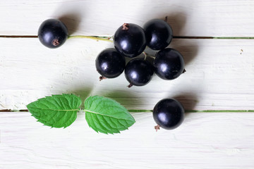 black currant berry background