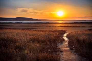 Dry salt lake with reeds in the Crimea