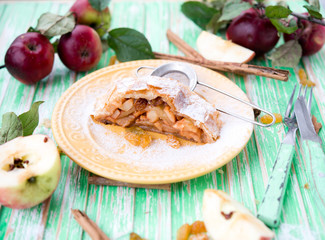 Traditional Vienna apple strudel
