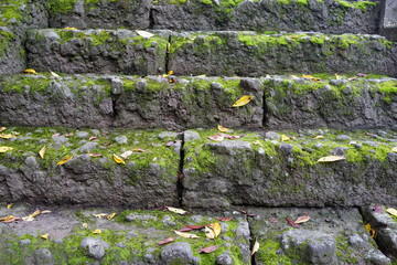 苔むした階段　歴史