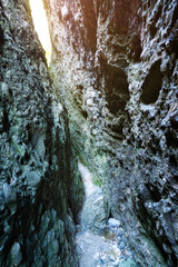 on the trail in the gorge on the way to light / bright summer ph