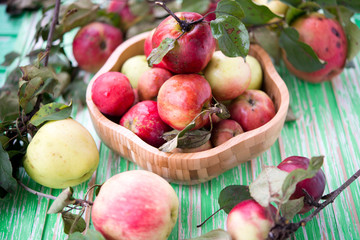 Fresh garden organic apples
