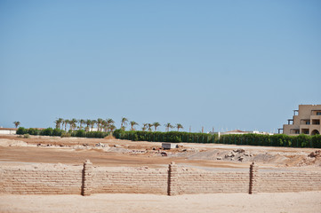 Fototapeta premium Brick wall at sand background palm on Egypt