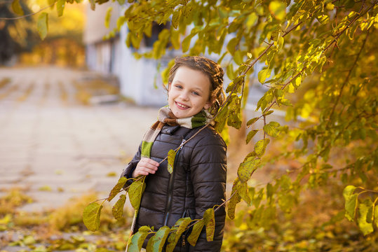 Adorable little girl with autumn leaves in the beautiful park