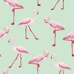 vector sketch of a flamingo. hand drawn seamless pattern