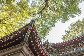 Roof decoration in Forbidden City of Beijing,China.