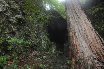 ボルダリング 　クライミングウォール　ボルダリング　ロッククライミング　 松井田妙義　妙義山　群馬　奥の院　鎖場　はしご