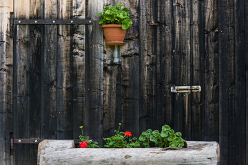 Vecchia porta in legno in Trentino