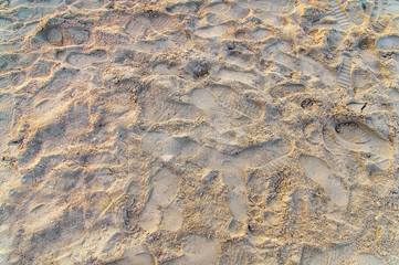 Foot print and shoe print on the sand at the beach