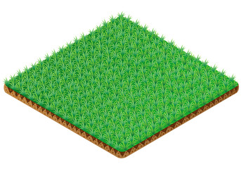 Grass tile. Isometric view. Vector illustration.