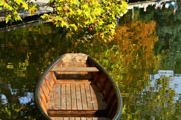 Ruderboot am See in Ufernähe