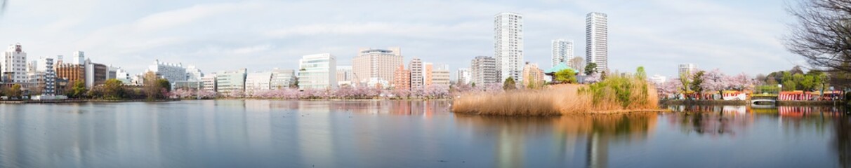 Fototapeta na wymiar Panoramic view of Shinobazu pond located at Ueno Park, Taito Ward, Tokyo, Japan.