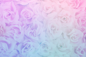 fabric  rose background