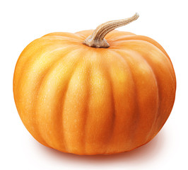  pumpkin isolated on white background clipping path