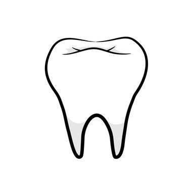 Healthy Tooth, A hand drawn vector illustration of a healthy tooth.