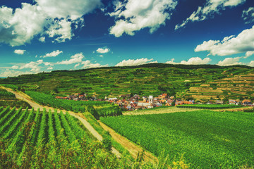 Fototapeta na wymiar Vines growing in picturesque hilly countryside in Germany. Colorful summer landscape with a historic village. Wine-making background.
