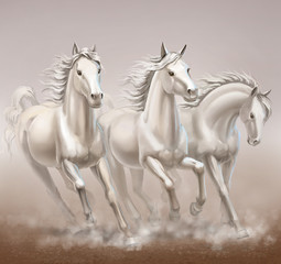 Obraz na płótnie Canvas running horses