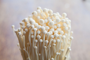 Enoki Mushroom