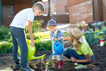 Little boys watering plant with his mother in garden