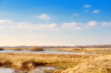 Fototapeta premium Hiller Torfmoor