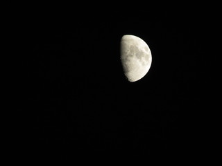Luna © lk_photo