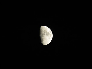 Luna © lk_photo