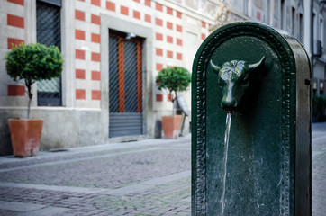 "Toret", typical public fountain of Turin (Italy). There are almost 800 "toret" in the city, all made of cast iron and with bull shape in late XIX century.