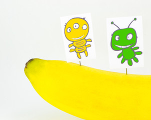 The picture on a banana